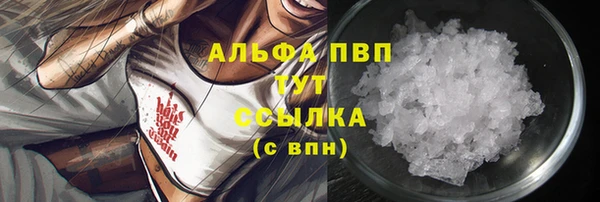 стаф Бронницы