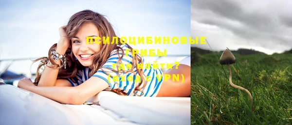 индика Бугульма