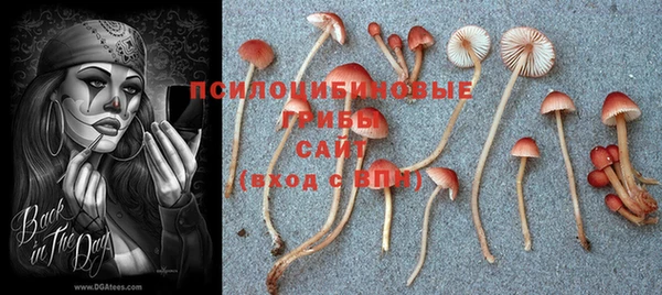 индика Бугульма