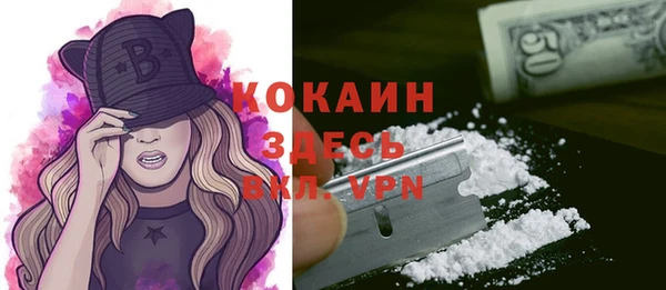 стаф Бронницы