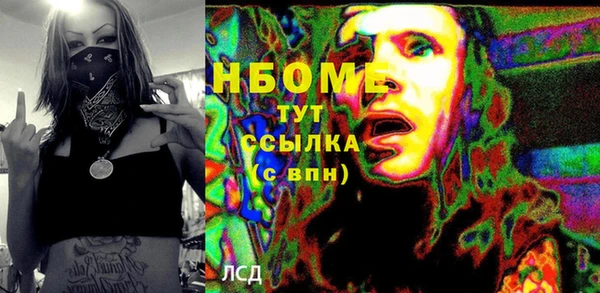 индика Бугульма