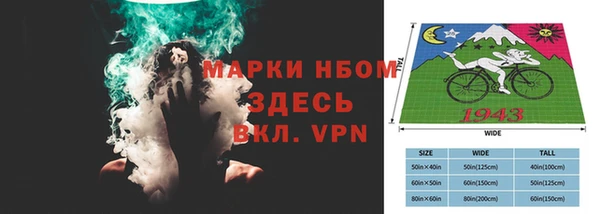 индика Бугульма