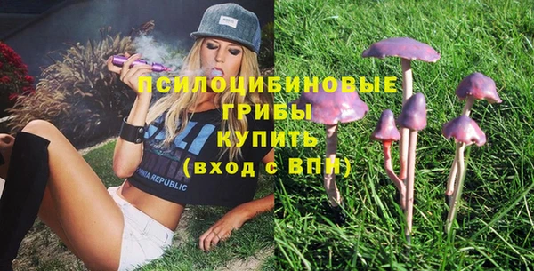 стаф Бронницы