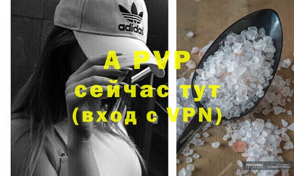 индика Бугульма