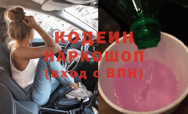 индика Бугульма