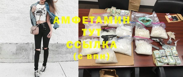 индика Бугульма