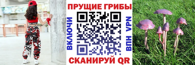 Галлюциногенные грибы MAGIC MUSHROOMS  Моршанск 